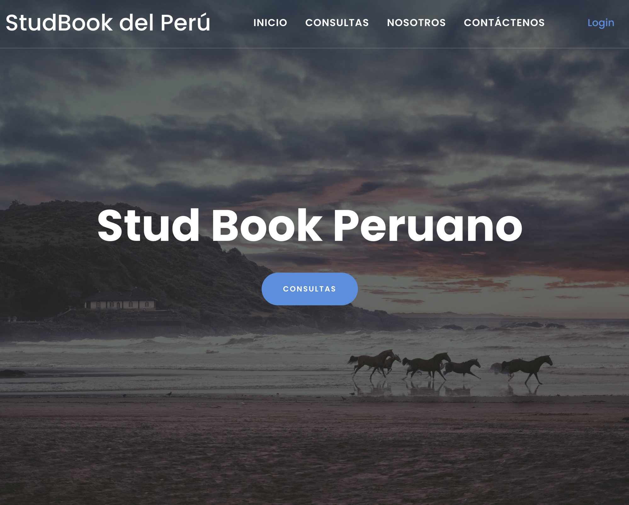 Studbook Peruano